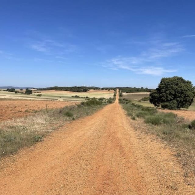 Sanabrés Way of St James passing through Manganeses